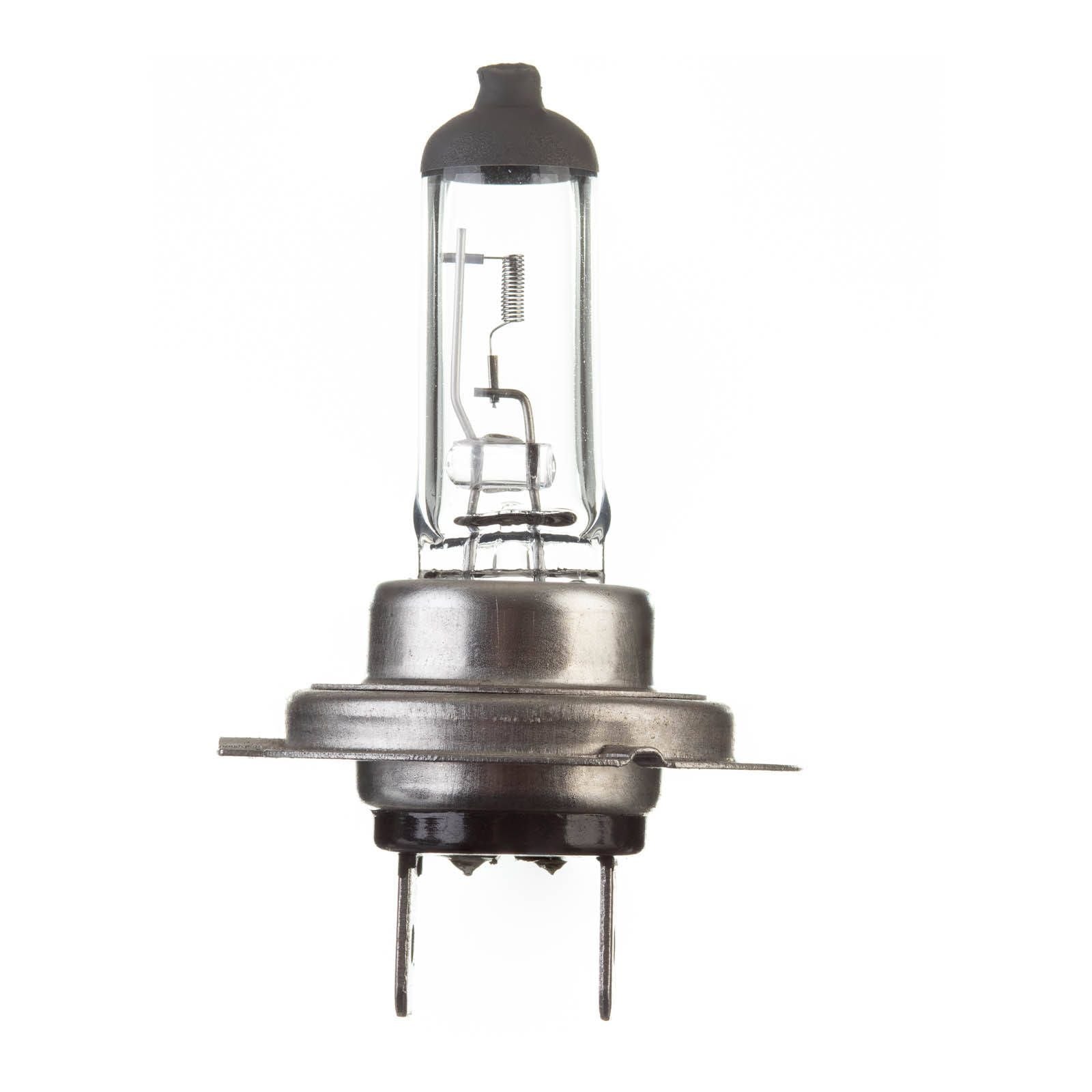 New WHITES Globe 12V 55w H/L H7 Halogen (ea) #ELB12415