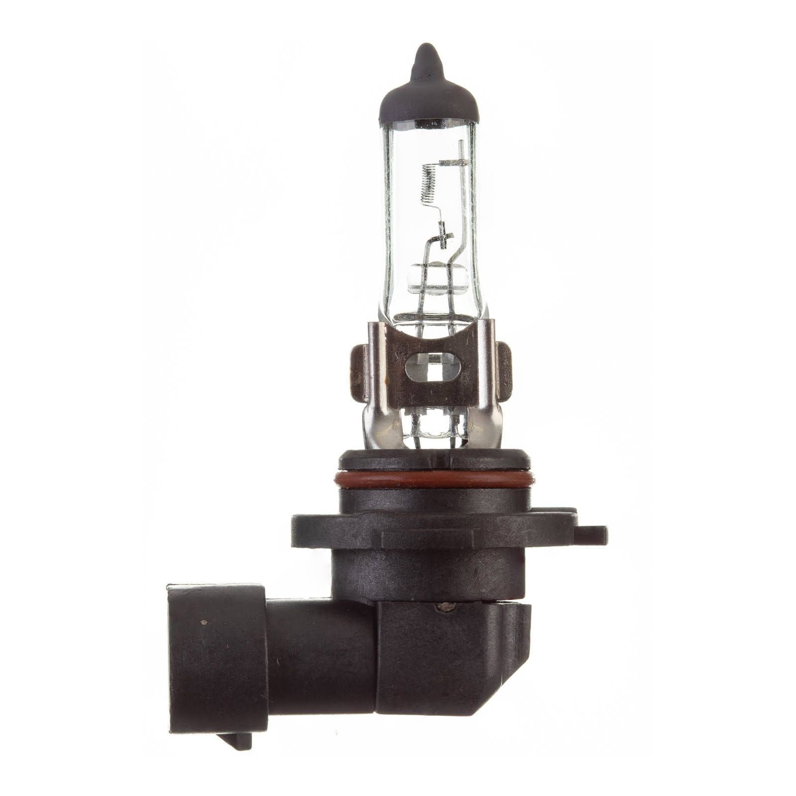 New WHITES Globe 12V 45w H/L H10 Halogen (ea) #ELB12416