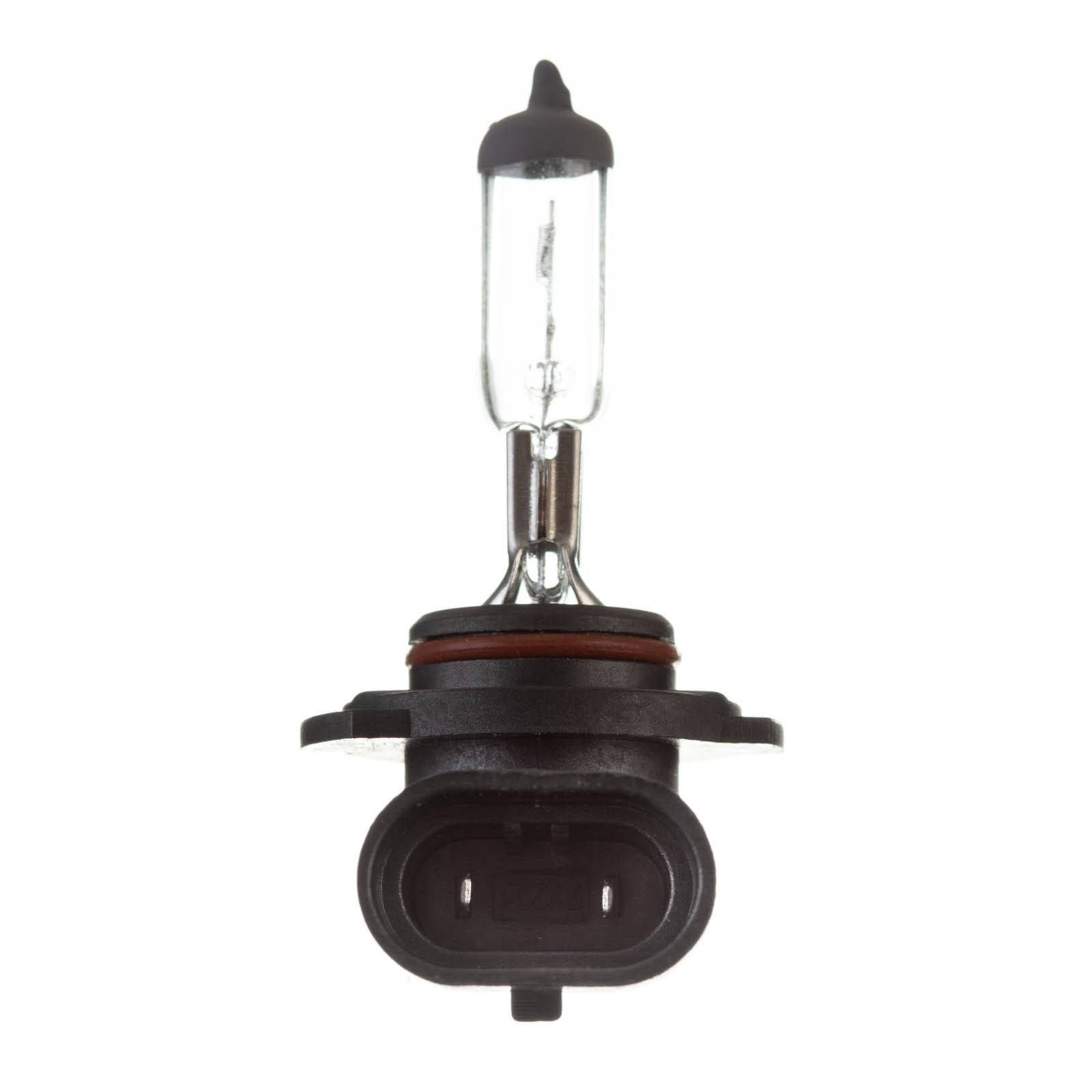 New WHITES Globe 12V 45w H/L H10 Halogen (ea) #ELB12416