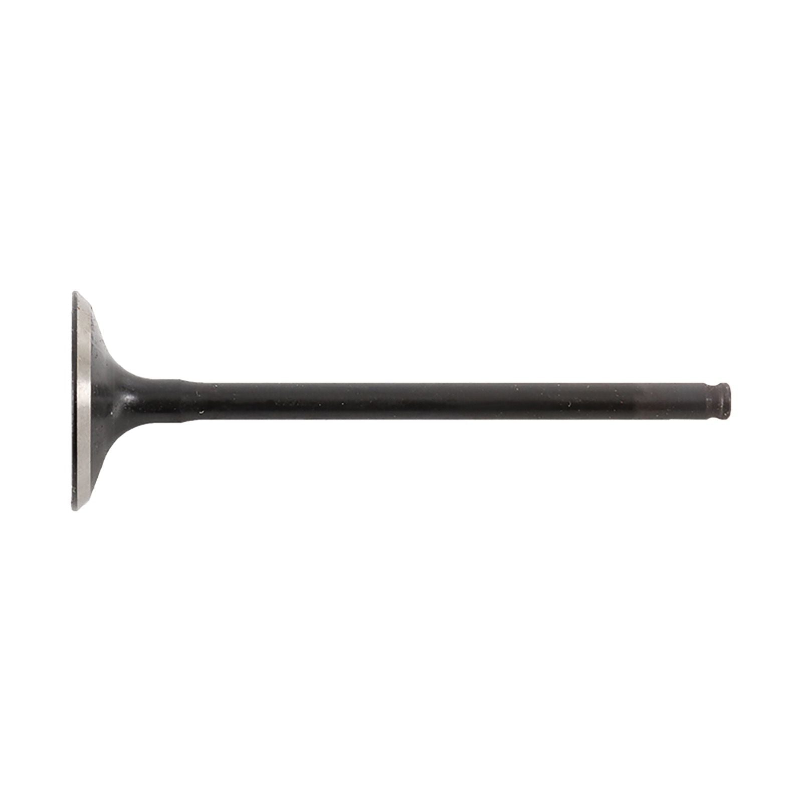 New HOT CAMS Engine Valve Exhaust - Steel #HC84000202