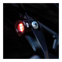 Oxford Run Light - Rear OXEL382#