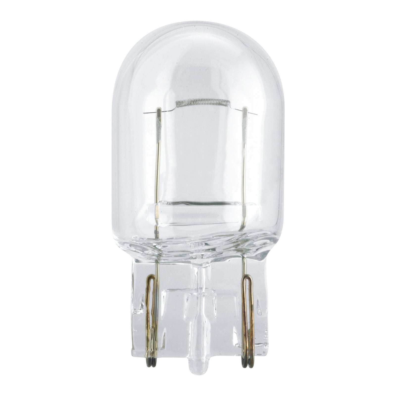 Philips Bulb W21W 12065 ST 12V CP For Honda GL1800 Goldwing PHW21W12065ST#