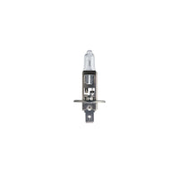 Philips Globe H1 12V 55W Single Blister Pack Longlife Eco Vision (12258Llecob1)