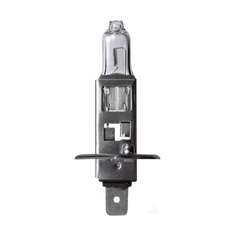 New Philips Globe H1 24V 70W Single Blister Pack (13258B1)