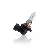 New Philips Globe Hb3 12V 65W P20D Single Blister Pack (9005Prb1)