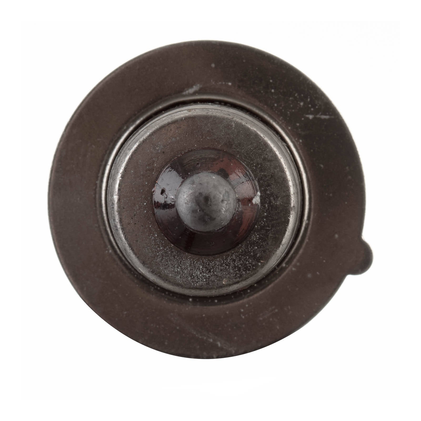 New WHITES Globes 12V 35W H/L Single pin (Pack of 10) #ELB1212T