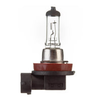 New WHITES Globe 12V 55W H/L H11 Halogen (ea) #ELB12343