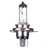 New WHITES Globe 12V 35/35W H/L HS1 Halogen (ea) #ELB12412