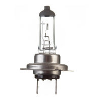 New WHITES Globe 12V 55w H/L H7 Halogen (ea) #ELB12415
