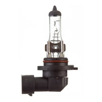 New WHITES Globe 12V 45w H/L H10 Halogen (ea) #ELB12416