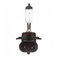 New WHITES Globe 12V 45w H/L H10 Halogen (ea) #ELB12416