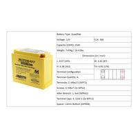 New MOTOBATT Quadflex AGM Battery #MBTX24U