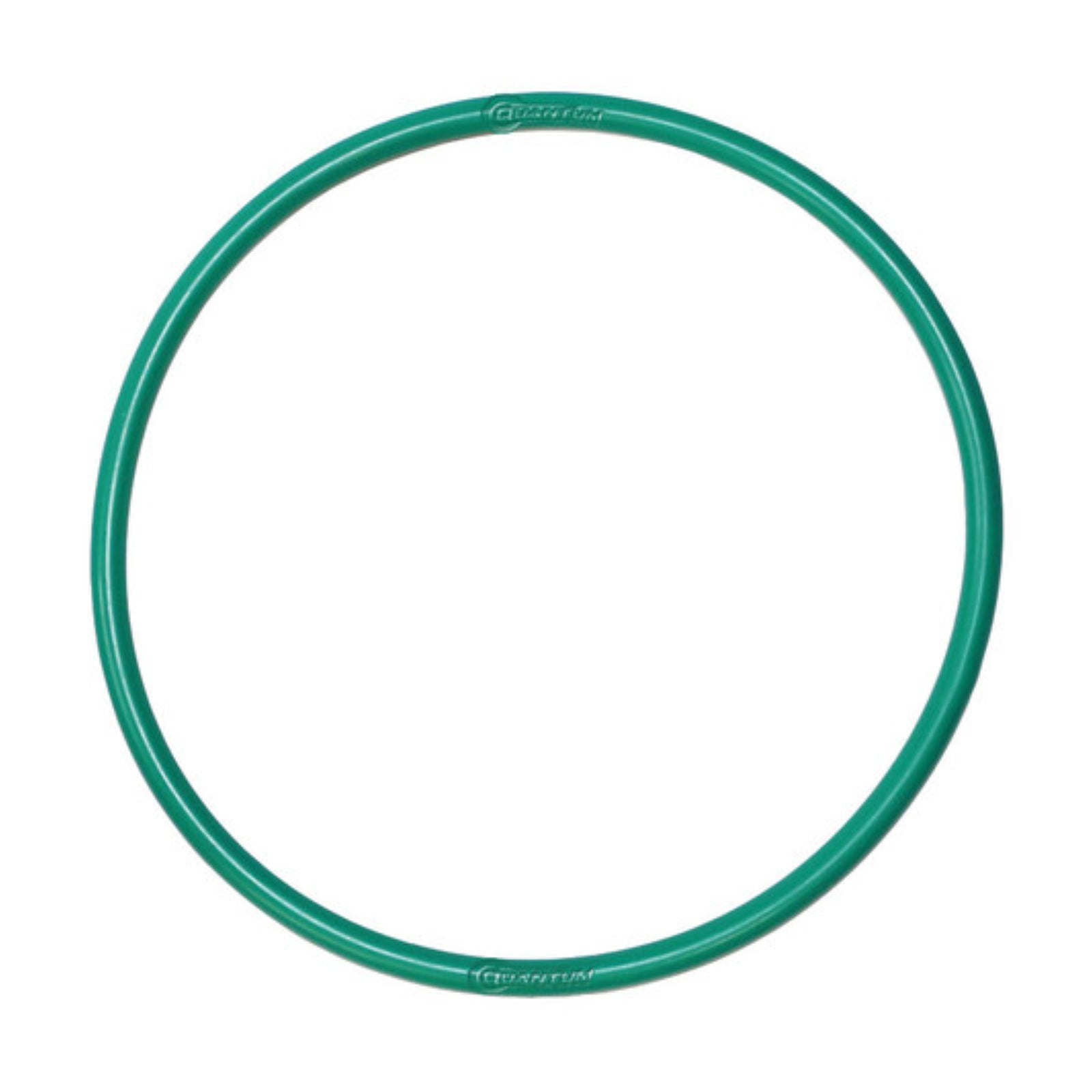 New QUANTUM Fuel Pump Tank Seal Gasket #QFHFPTS65